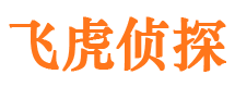 巴东侦探公司